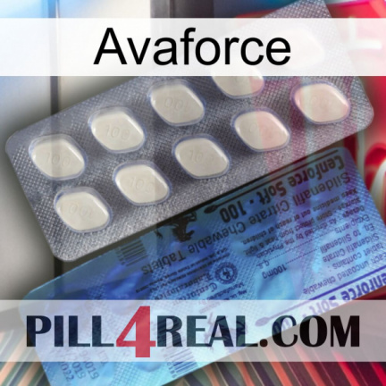 Avaforce 34